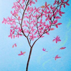 极品老师㧒开粉嫩小泬小
